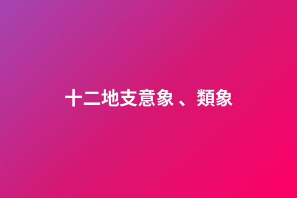 十二地支意象、類象